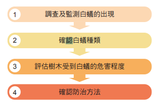 白蟻危害的防治策略四個步驟